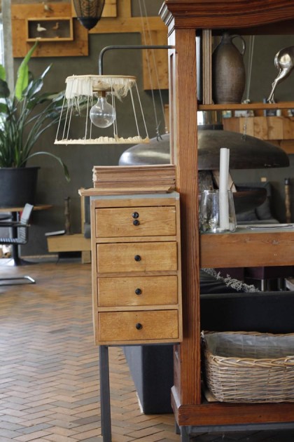 10 tips para el intercambio de casas – Escarabajos, Bichos y Mariposas