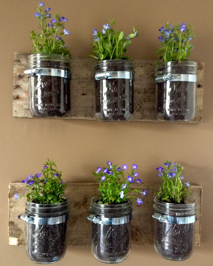 30-Awesome-Indoor-Garden-Planting-Projects-To-Start-In-The-New-Year-24