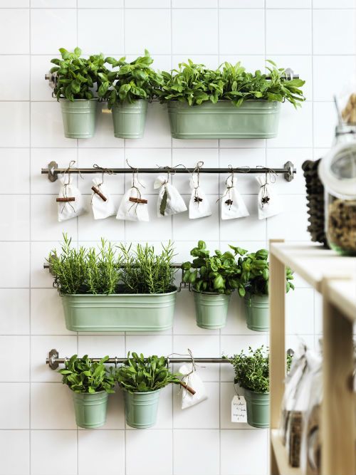 30-Awesome-Indoor-Garden-Planting-Projects-To-Start-In-The-New-Year-30