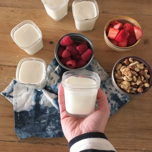 yogur en yogurtera casero
