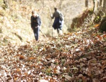 Asturias: ruta de los molinos en Bimenes
